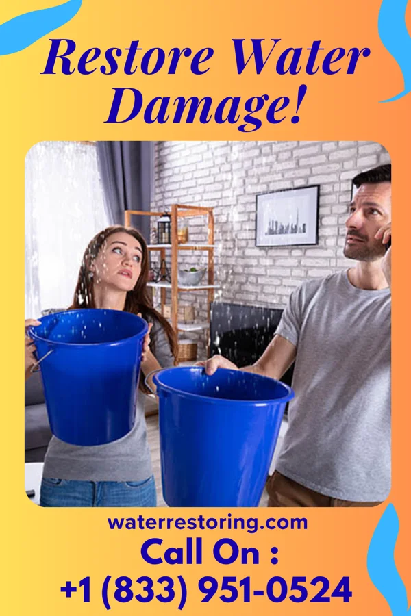 water restoration Empire Storm Damage Experts Bellerose