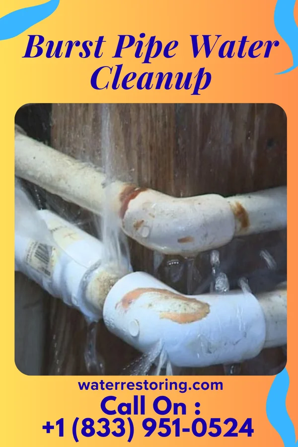 Burst Pipe Water Cleanup in Bellerose, NY