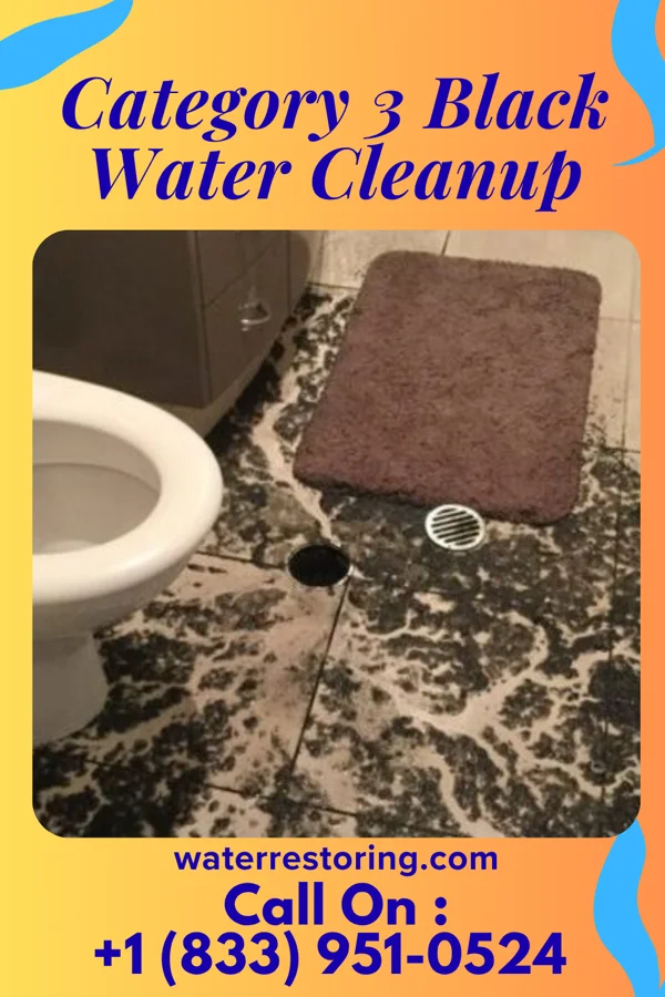 Category 3 Black Water Cleanup in Bellerose, NY