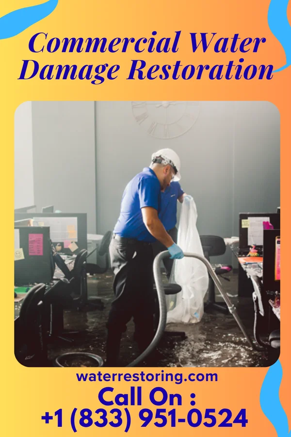 Commercial Water Damage Restoration in Bellerose, NY