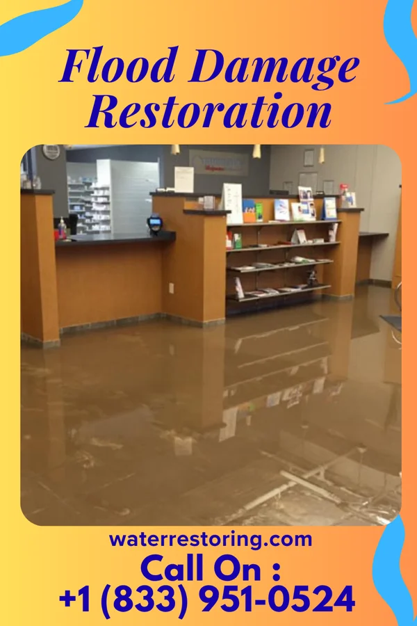Flood Damage Restoration in Bellerose, NY