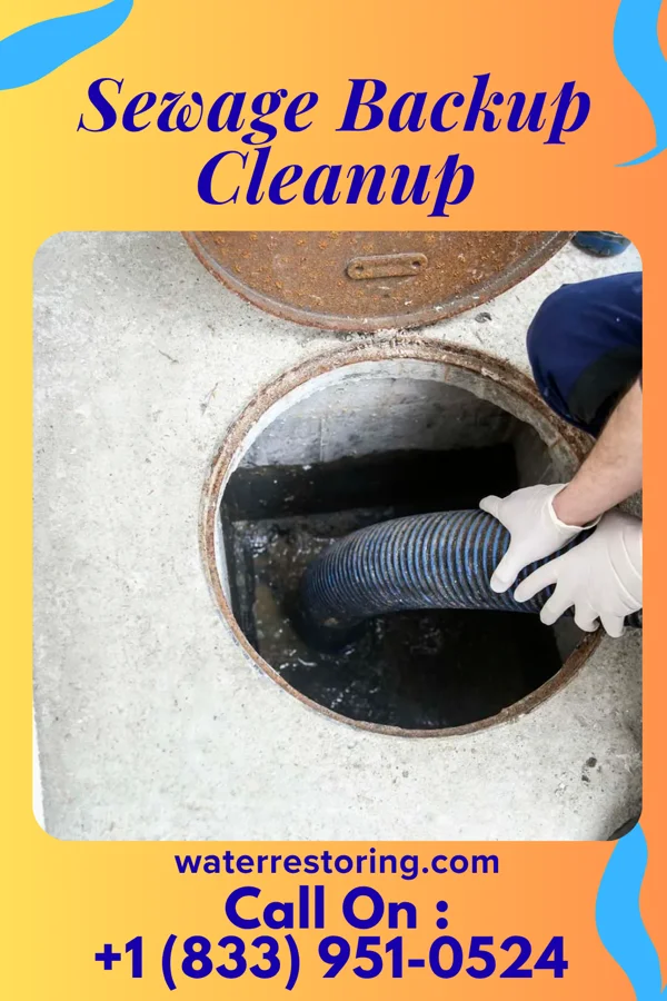 Sewage Backup Cleanup in Bellerose, NY